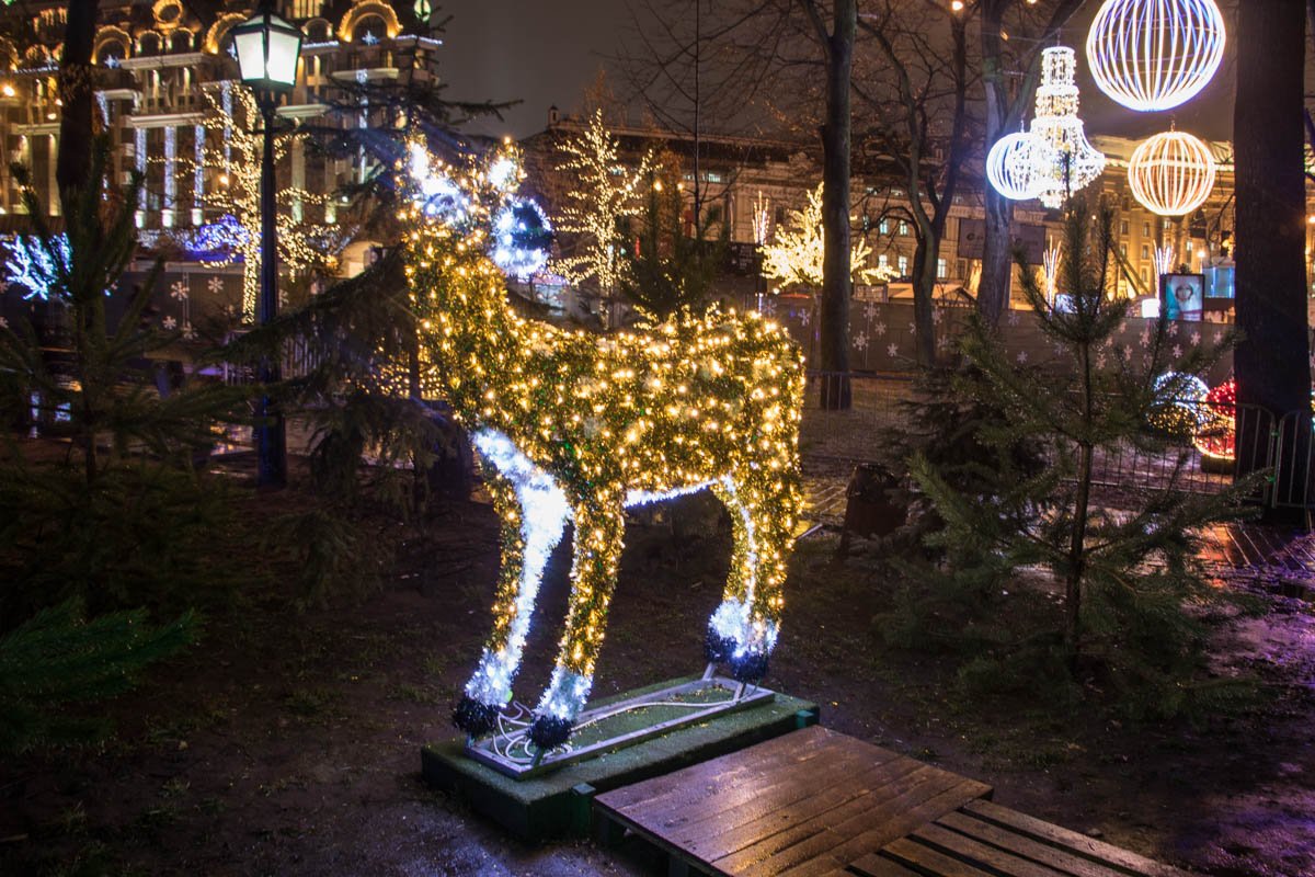 Праздничная атмосфера в киевском сквере Праздничная атмосфера в киевском сквере
