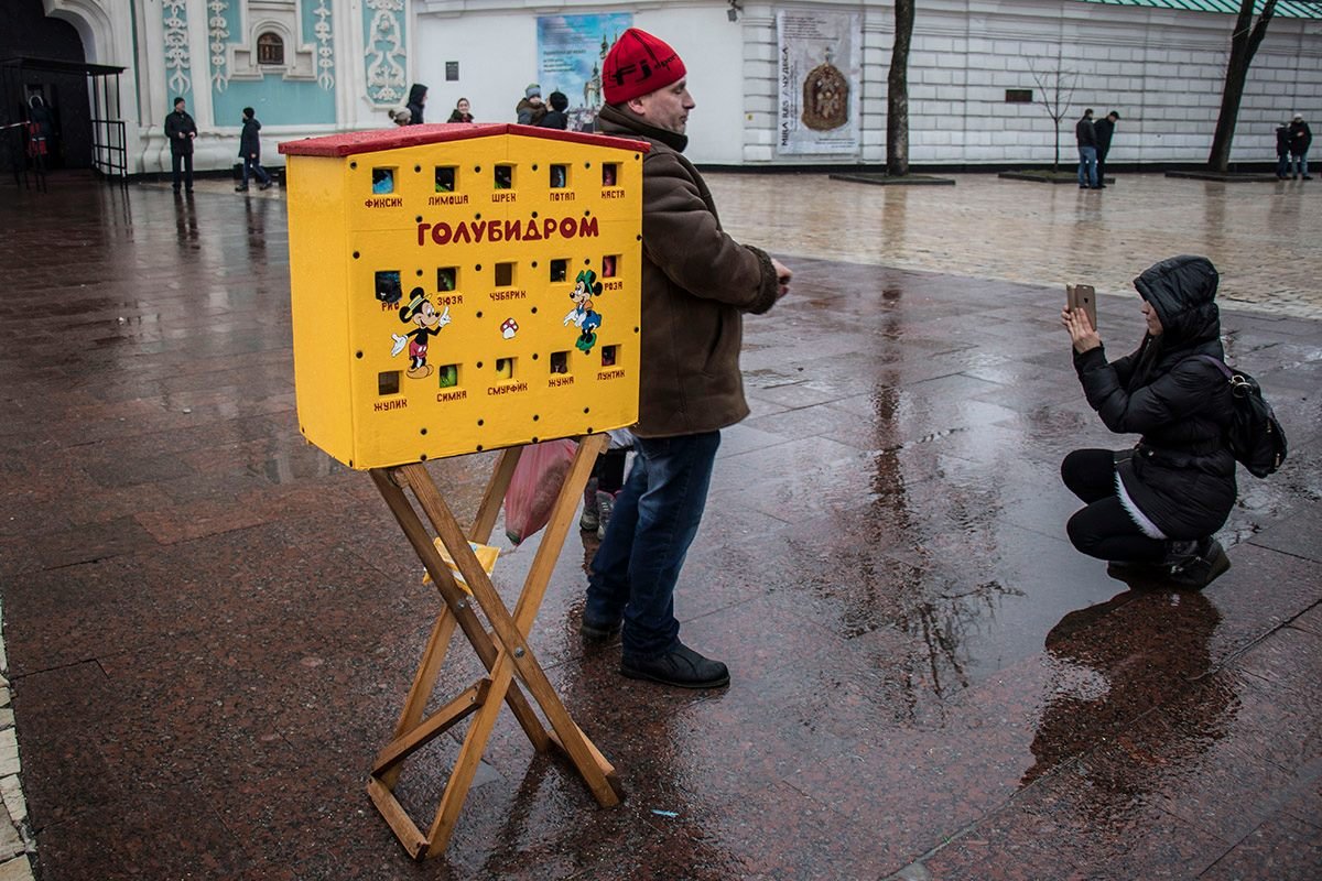 Разукрашенные пернатые поселились в ярком домике