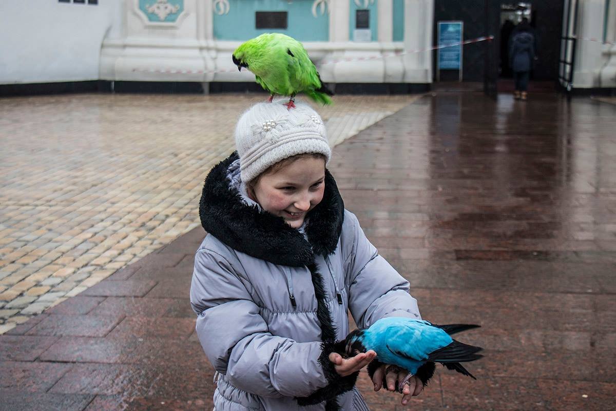 Дети с удовольствием общаются с красочными друзьями