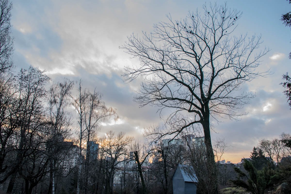 На Киев плавно опускаются сумерки