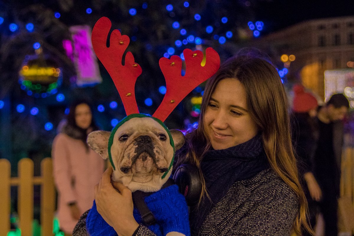 Праздничные мероприятия пройдут во всех районах города