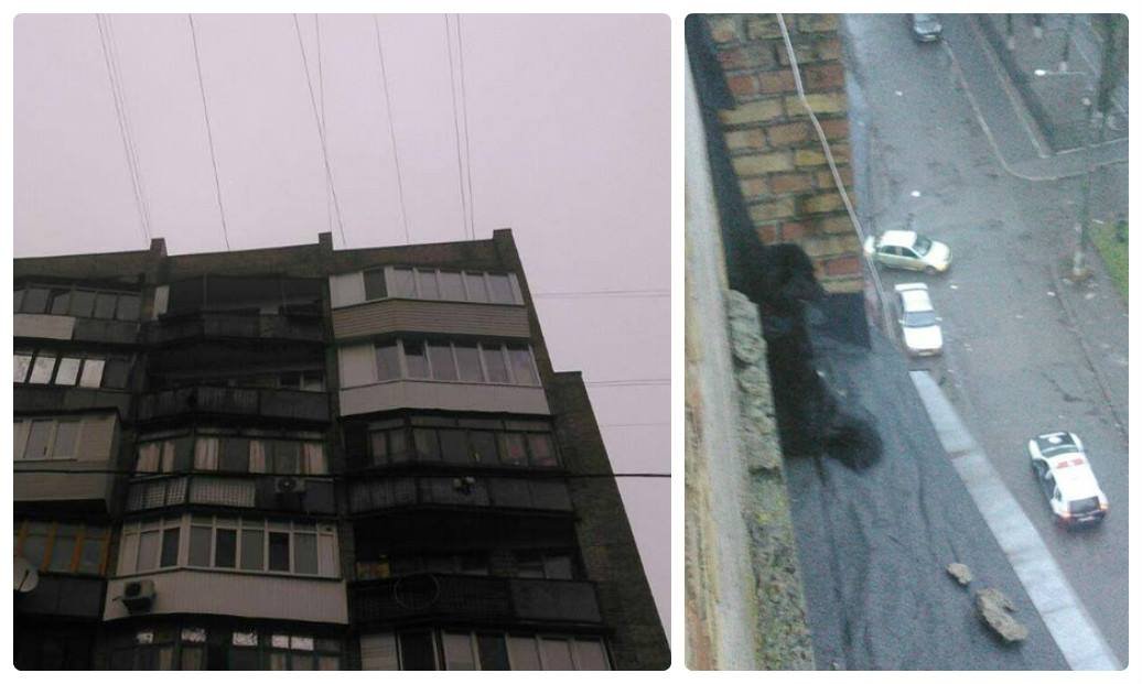 В Киеве спасатели уговорили перепуганного пса не прыгать с карниза девятиэтажки 1