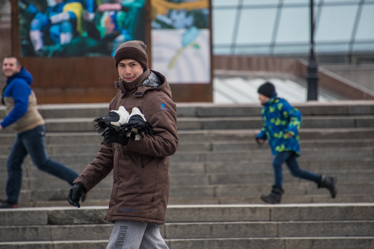 Без голубей - никуда