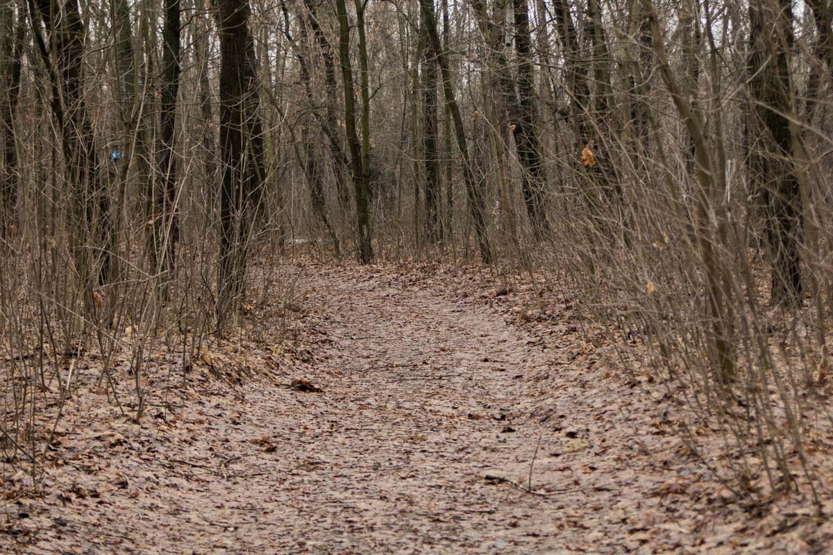 А слабо пробежать здесь?