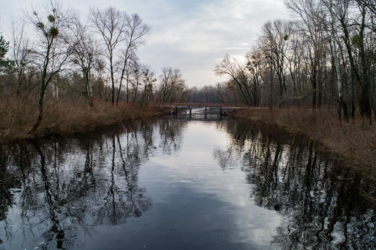 Здесь только молча созерцать - и больше ничего не надо