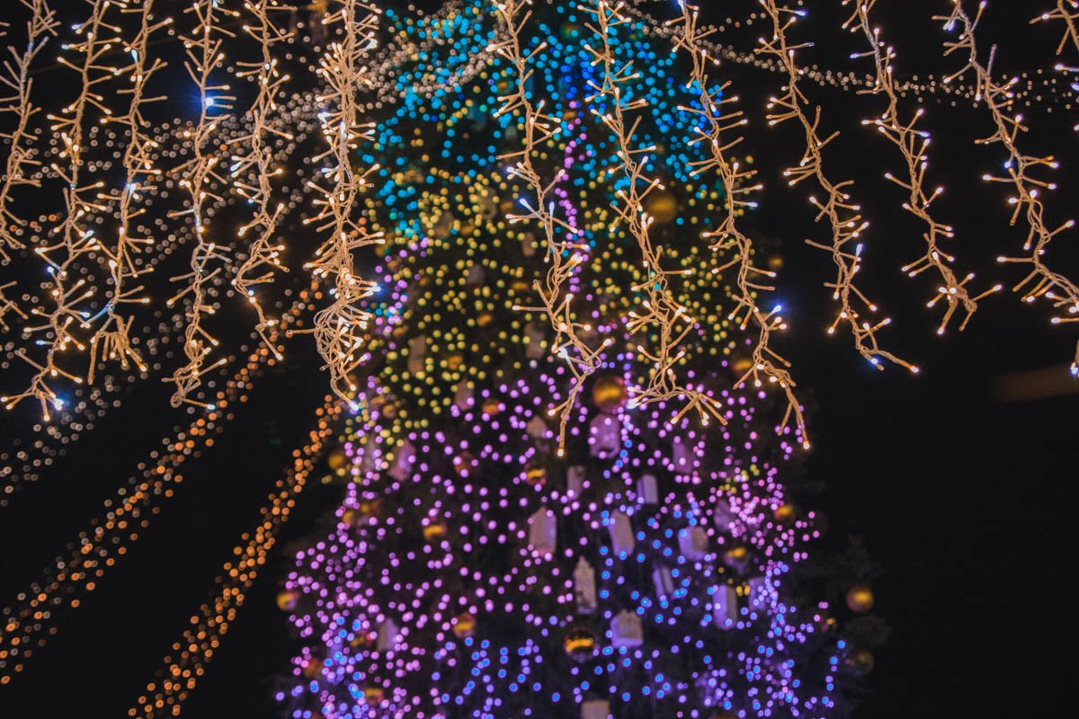 Главная елка Киеве - самая популярная достопримечательность столицы последних дней Главная елка Киева - самая популярная достопримечательность столицы