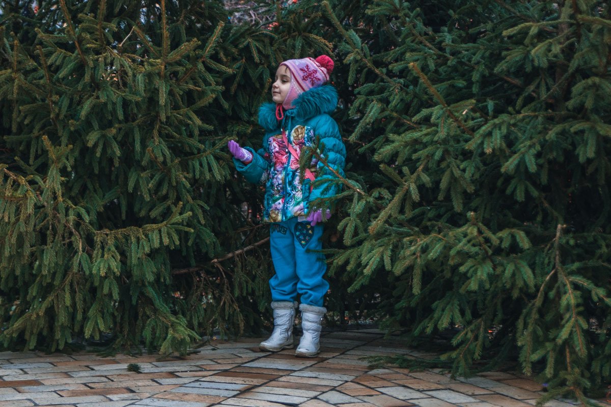 Запах Рождества Запах Рождества