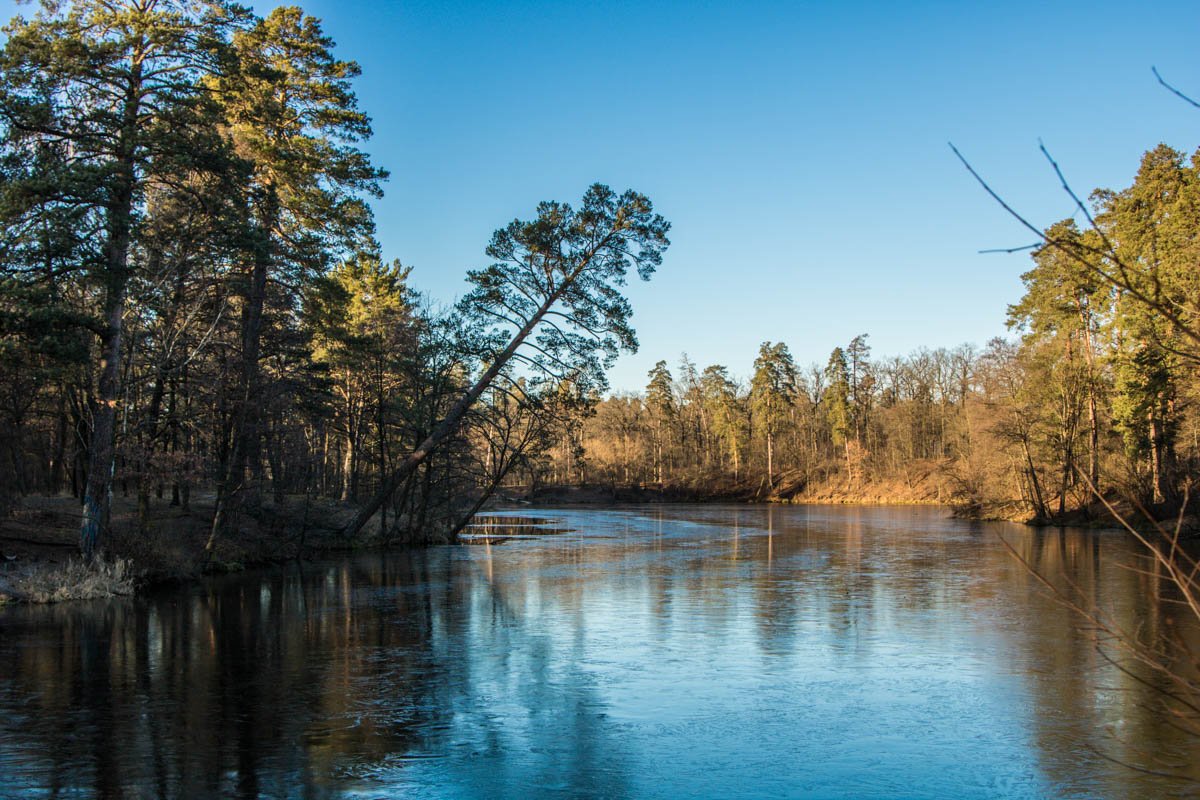Природа дарит весеннее тепло в январе