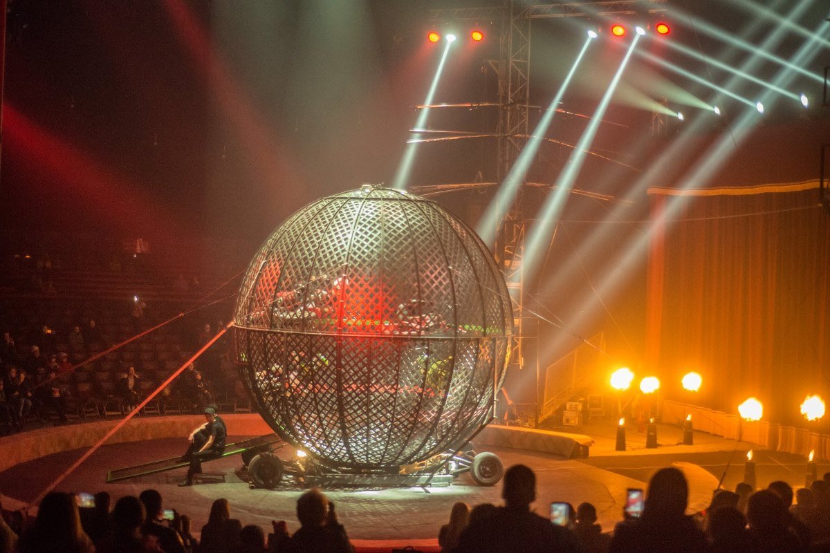 Экстрим-шоу цирка "Кобзов" width="1200" height="800"><figcaption> Экстрим-шоу цирка "Кобзов"
</figcaption></figure></p><p></p><h2 style="text-align: center;"><strong>НОВОГОДНЯЯ ЕЛКА В НАЦИОНАЛЬНОМ ЦИРКЕ УКРАИНЫ</strong></h2>
<p>Пойти на новогоднюю елку стоит для того, чтобы посмотреть на невероятные трюки жонглеров, акробатов и других циркачей. Встречи с детьми и взрослыми ждут акробаты на моноциклах, резиновых баллонах, велосипедах и роликах, музыкальные эксцентрики, воздушные гимнасты и смешной клоун.
</p><p><b>Где</b>: площадь Победы, 2
</p><p><strong>Когда</strong>: с 16 декабря по 14 января
</p><p><b>Стоимость</b>: 50 - 490 гривен
</p><p><strong>Телефон: </strong>(044) 236-39-39.
</p><p><figure class="image"><img class="wp-image-75598 size-full" title="Яркое представление на арене национального цирка" src="https://cdn.informator.ua/@dp/media/kiev/2023/10/12/6528227d509e2.jpg" alt="Яркое представление на арене Национального цирка" width="1200" height="750"><figcaption> Яркое представление на арене Национального цирка
</figcaption></figure></p><p></p><h2 style="text-align: center;"><strong>РЕЗИДЕНЦИЯ ДЕДА МОРОЗА </strong></h2>
<p>Побывать в гостях у Деда Мороза мечтает каждый малыш, даже если волшебный праздник уже позади. Помогите заветному желанию своего чада исполниться. Приходите вместе на увлекательное представление, которое состоится в настоящей зимней резиденции Деда Мороза. Она расположилась в самом нарядном и уютном павильоне столичного ВДНХ. Гостей Деда Мороза ждут приятные сюрпризы: веселые игры, общение с трудолюбивыми эльфами, праздничная фотосессия и много-много других приятностей. Пожалуй, самым приятным для всех деток станет общение с <a href="https://kiev.informator.ua/2017/12/28/roboty-volshebniki-i-ledyanye-skulptury-kak-v-kieve-razvlechsya-na-vdnh/">хозяином резиденции</a> - Дедом Морозом.
</p><p><strong>Где:</strong> проспект Академика Глушкова, 1, ВДНХ
</p><p><strong>Когда</strong>: с 16 декабря по 14 января
</p><p><b>Стоимость</b>: 110 гривен
</p><p><strong>Телефон: </strong>(044) 596-91-01.
</p><p><figure class="image"><img class="wp-image-75600 size-full" title="Главный вход в резиденцию Деда Мороза на ВДНХ" src="https://cdn.informator.ua/@dp/media/kiev/2023/10/12/6528227d9c7df.jpg" alt="Главный вход в резиденцию Деда Мороза на ВДНХ" width="1200" height="675"><figcaption> Главный вход в резиденцию Деда Мороза на ВДНХ
</figcaption></figure></p><p></p><h2 style="text-align: center;"><strong>МАГИЧЕСКОЕ КОРОЛЕВСТВО</strong></h2>
<p>Побывать на представлении цирка стоит для того, чтобы подарить вашим детям новогоднее чудо и понаблюдать за лучшими цирковыми артистами Украины. И конечно же, увидеть официально зарегистрированный в Книге Рекордов Украины самый большой цирк страны. Новогодняя сказка «Волшебное королевство» - это театрализованное цирковое шоу, в котором вы попадете в яркий мир магии и иллюзии, погрузитесь в пучину зрелищных трюков и современных танцевальных номеров, а оригинальные клоуны и жонглеры подарят вам феерические эмоции.
</p><p><strong>Где:</strong> метро "Контрактовая площадь"
</p><p><strong>Когда</strong>: с 19 декабря по 14 января
</p><p><b>Стоимость</b>: 150-400 гривен, детям до 5 лет вход бесплатный
</p><p><strong>Телефон: </strong>(093) 100-44-77.
</p><p><figure class="image"><img class="wp-image-75605 size-full" title="Феерия чудес и огней представления, заставит смотреть шоу с открытым ртом" src="https://cdn.informator.ua/@dp/media/kiev/2023/10/12/6528227de5342.jpg" alt="Феерия чудес и огней представления, заставят смотреть шоу с открытым ртом" width="1200" height="575"><figcaption> Феерия чудес и огней представления, заставят смотреть шоу с открытым ртом
</figcaption></figure></p><p></p><h2 style="text-align: center;"><strong>СЛОН И ПОЛОСАТЫЙ РЕЙС</strong></h2>
<p>Хотите увидеть самое крупное животное на планете? Тогда стоит посетить шоу "Слон и полосатый рейс". В программе: непревзойденный силач-рекордсмен и ручные бенгальские тигры. Приходите с детками увидеть новую цирковую программу «Слон и полосатый рейс» уже с января. Эмоциональное шоу не позволит вам вздохнуть до самого конца, держа вас в напряжении от ярких номеров. «Изюминка» шоу - благородный индийский слон, который уж точно поразит своим умом.
</p><p><strong>Где:</strong> Национальный Цирк Украины, площадь Победы, 2
</p><p><strong>Когда</strong>: с 27 января по 21 апреля
</p><p><b>Стоимость</b>: 50-490 гривен
</p><p><strong>Телефон:</strong> (044) 236-39-39.
</p><p><figure class="image"><img class="wp-image-75607 size-full" title="Слон самое крупное из сухопутных животных на планете" src="https://cdn.informator.ua/@dp/media/kiev/2023/10/12/6528227e30bbf.jpg" alt="Слон - самое крупное из сухопутных животных на планете" width="1199" height="800"><figcaption> Слон - самое крупное из сухопутных животных на планете
</figcaption></figure></p><p></p><h2 style="text-align: center;"><strong>АЛИСА В ЗАЗЕРКАЛЬЕ НА ЛЬДУ</strong></h2>
<p>Если вы хотите побывать вместе с вашим малышом в Зазеркалье, тогда вам на шоу Алисы в Зазеркалье. Тут вы узнаете, что случилось с повзрослевшей Алисой. Удивитесь от того, как фигуристы легко "приручают" лед. «Алиса в Зазеркалье на льду» - всем знакомая сказка об удивительном и ярком мире, полном забавных бессмыслиц и веселых пустяков, раскрытая в новом формате шоу-спектакля на льду от продюсерского центра ICE VISION. Профессиональные фигуристы, исполняющие сложнейшие элементы фигурного катания и циркового искусства, предстанут перед вами в любимых образах Алисы и ее друзей.
</p><p><strong>Где:</strong> Дворец Спорта, площадь Спортивная, 1
</p><p><strong>Когда</strong>: с 12 января по 13 января
</p><p><b>Стоимость</b>: 150-450 гривен
</p><p><strong>Телефон</strong>: (044) 246-74-05.
</p><p><figure class="image"><img class="wp-image-75611 size-full" title="Ледовое Шоу от профессионалов понравится самым маленьким гостям" src="https://cdn.informator.ua/@dp/media/kiev/2023/10/12/6528227e780bf.jpg" alt="Ледовое шоу от профессионалов понравится самым маленьким гостям" width="1200" height="770"><figcaption> Ледовое шоу от профессионалов понравится самым маленьким гостям
</figcaption></figure></p><p></p><h2 style="text-align: center;"><strong>ВОЛШЕБНИК ИЗУМРУДНОГО ГОРОДА</strong></h2>
<p>«Волшебник Изумрудного города» – одна из самых удивительных, ярких и загадочных сказок мировой детской литературы. Это музыкальный спектакль по мотивам сказки Александра Волкова. История маленькой девочки Элли, которая проходит сложные испытания вместе со своим верным песиком Тотошкой, не оставит равнодушным никого. Ведь в этих испытаниях она не только обретет новых друзей – Страшилу, Дровосека и Льва, но и поможет осуществить их заветные желания.
</p><p><strong>Где: </strong>Национальный академический театр русской драмы имени Леси Украинки, улица Богдана Хмельницкого, 5, (метро "Театральная")
</p><p><strong>Когда</strong>: с 27 декабря по 25 февраля
</p><p><b>Стоимость</b>: 20 - 100 гривен
</p><p><strong>Телефон: </strong>(044) 234-90-63.
</p><p><figure class="image"><img class="wp-image-75616 size-full" title="«Волшебник Изумрудного города» – одна из самых удивительных, ярких и загадочных сказок мировой детской литературы" src="https://cdn.informator.ua/@dp/media/kiev/2023/10/12/6528227eea475.jpg" alt="«Волшебник Изумрудного города» – одна из самых удивительных, ярких и загадочных сказок мировой детской литературы" width="1193" height="800"><figcaption> «Волшебник Изумрудного города» – одна из самых удивительных, ярких и загадочных сказок мировой детской литературы
</figcaption></figure></p><p></p><h2 style="text-align: center;"><strong>НОВОГОДНИЙ ГОРОД</strong></h2>
<p>Вас ждет целый фейерверк всевозможных зимних забав: просторный каток с гладким, как стекло, льдом, качели и карусели для детей (и не только), огромная тюбинговая горка (страшно только первые несколько секунд!) и даже сказочный искристый лес, в котором, говорят, часто случаются настоящие новогодние чудеса. Проводя время в Новогоднем городе, вы можете подкрепиться чем-то вкусненьким и согреться горячим напитком. И, конечно же, на территории маркет молла «Дарынок» вы сможете прикупить новогодние подарки для себя и своих близких!
</p><p><strong>Где:</strong> Маркет молл «Дарынок», улица Беломорская, 1
</p><p><strong>Когда</strong>: с 4 января по 18 февраля
</p><p><b>Стоимость</b>: 100-300 гривен
</p><p><b>Телефон: </b>(044) 461-88-13.
</p><p></p><h2 style="text-align: center;"><strong>ШОУ ИЛЛЮЗИОНИСТА</strong></h2>
<p>В программе: разнообразные оригинальные и смешные фокусы, связанные с привычными предметами. Кроме того, микромагия, которая вызывает у детей настоящий восторг, а также интерактивные обучающие мастер-классы с реквизитом настоящего чародея. В волшебном чемоданчике иллюзиониста всегда припасены фокусы для самых маленьких детей от 3-х лет, которые их легко понимают и с удовольствием в них участвуют. В гостях у театра-студии «Тысячелетие» фокусник-иллюзионист Сергей Королев. Иллюзионное шоу – это настоящий урок волшебства. А во время мастер-класса дети не только узнают секреты различных фокусов, но и сами научатся их показывать.
</p><p><strong>Где:</strong> камерная сцена театра "Тысячелетие", проспект Петра Григоренко, 26а
</p><p><strong>Когда</strong>: с 13 января по 10 февраля
</p><p><b>Стоимость</b>: 130 гривен, детям до 6 лет - бесплатно
</p><p><strong>Телефон</strong>: (067) 537-38-47.
</p><p><figure class="image"><img class="wp-image-75621 size-full" title="Фокусник-иллюзионист Сергей Королев!" src="https://cdn.informator.ua/@dp/media/kiev/2023/10/12/6528227f3f4f9.jpg" alt="Фокусник-иллюзионист Сергей Королев!" width="1200" height="800"><figcaption> Фокусник-иллюзионист Сергей Королев
</figcaption></figure></p><p>Ранее мы рассказывали о самых ожидаемых <a href="https://kiev.informator.ua/2018/01/05/top-kontsertov-i-sobytij-kieva-v-2018-godu/">концертах и событиях Киева в 2018 году</a>. Информатор подготовил для вас подборку интересных мероприятий текущего года. Скучать не придется.
</p><p></p><p style="text-align: right;"><b>Платон Бережной</b></p></body></html>