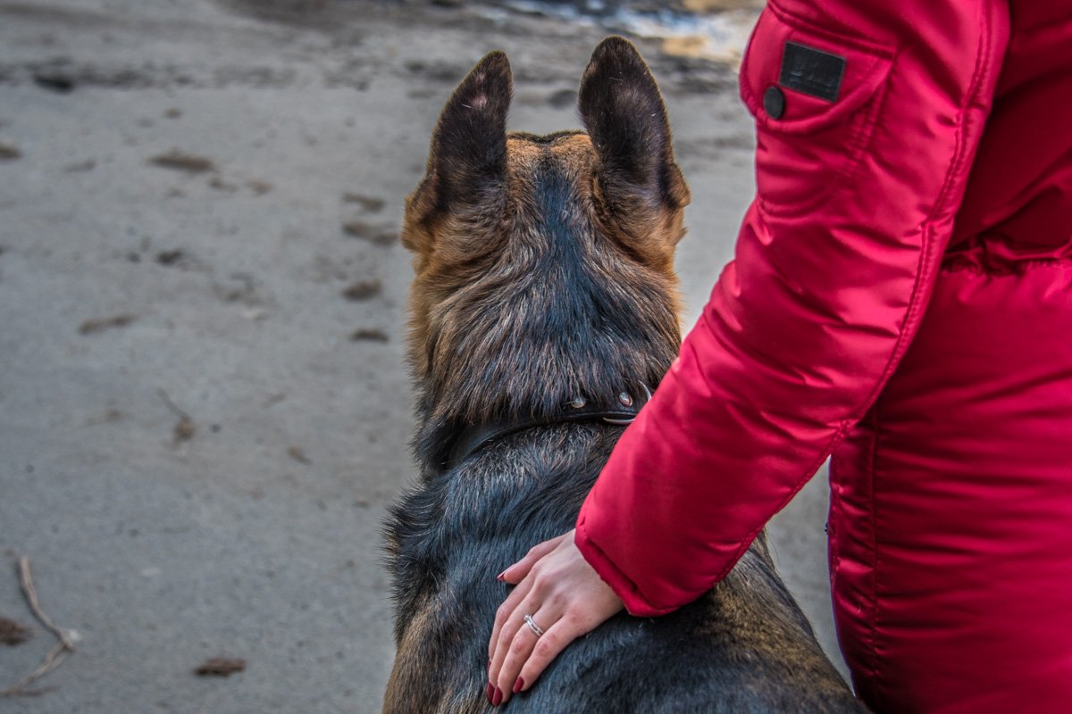 Многие общественники пришли на митинг со своими домашними животными Многие общественники пришли на митинг со своими домашними животными
