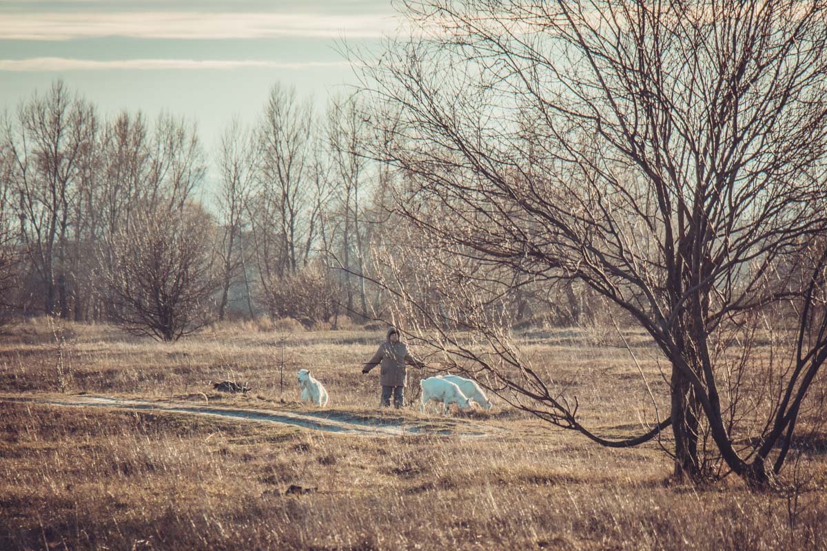 Фото: Витольд Явдощук 