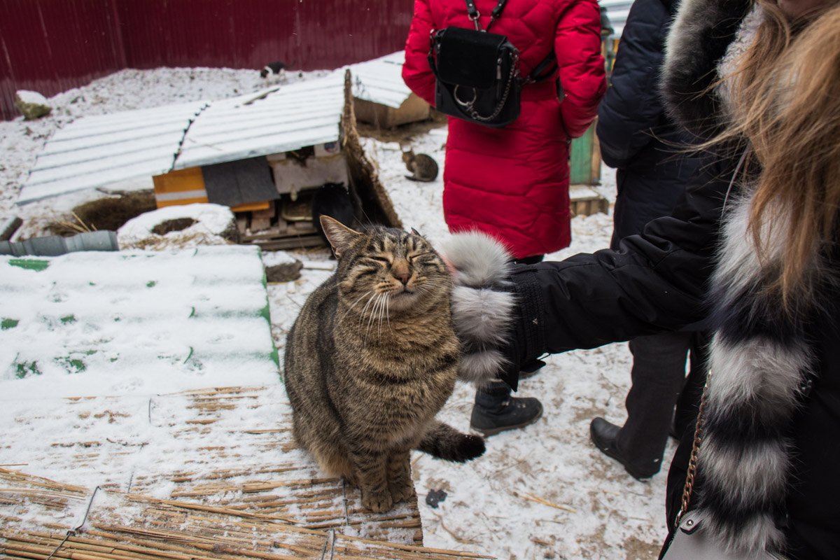 Гладь меня полностью Гладь меня полностью