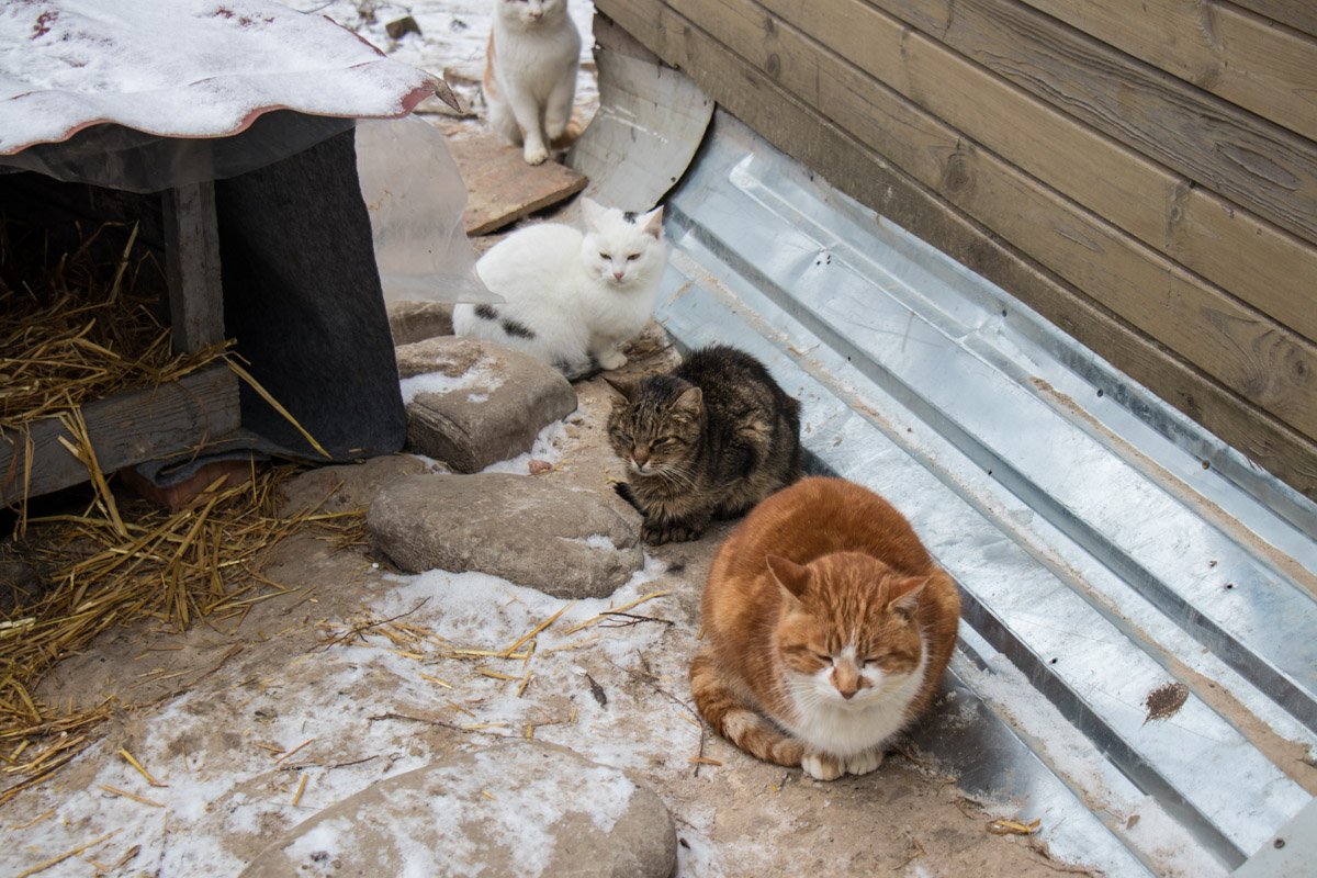 Фото: Виталий Куздровский Фото: Виталий Куздровский