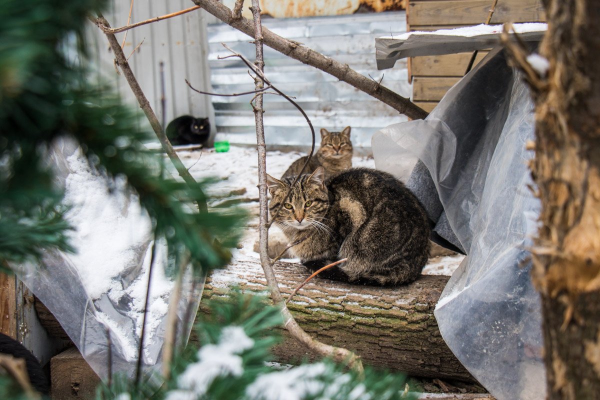 Все, что захочу, могу я натворить, ты все равно будешь меня любить... Все, что захочу, могу я натворить, ты все равно будешь меня любить...