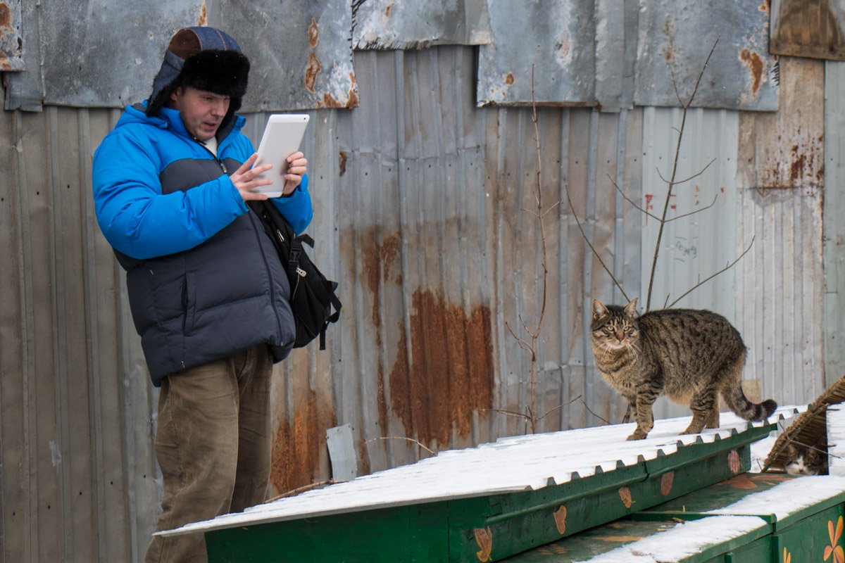 Кошачье дефиле Кошачье дефиле