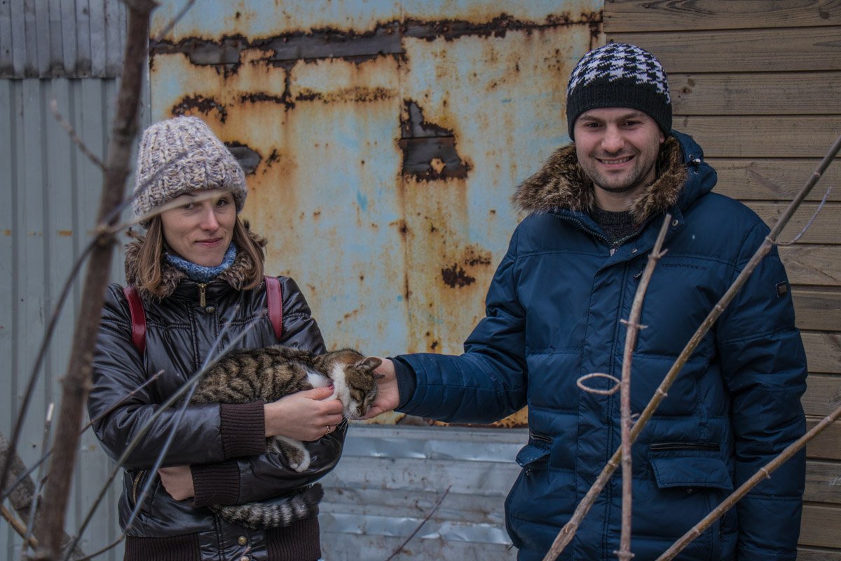 Фелинотерапия помогает людям снять стресс Фелинотерапия помогает людям снять стресс