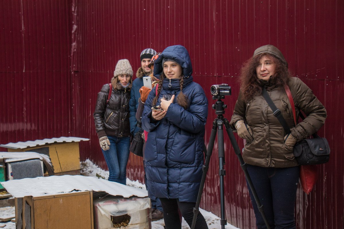 Гостей у котов было не много Гостей у котов было не много