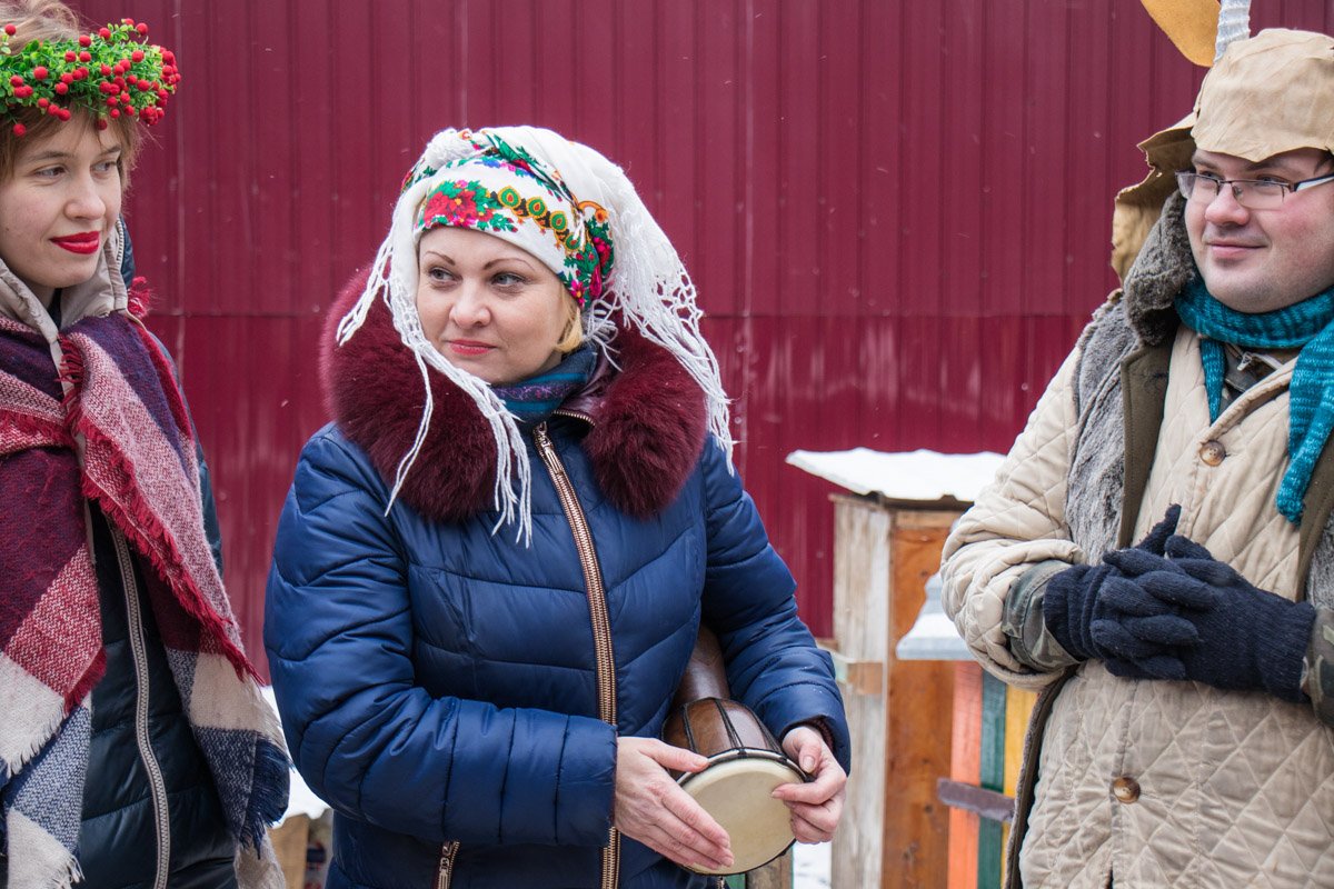 Для котов разыграли представление Для котов разыграли представление