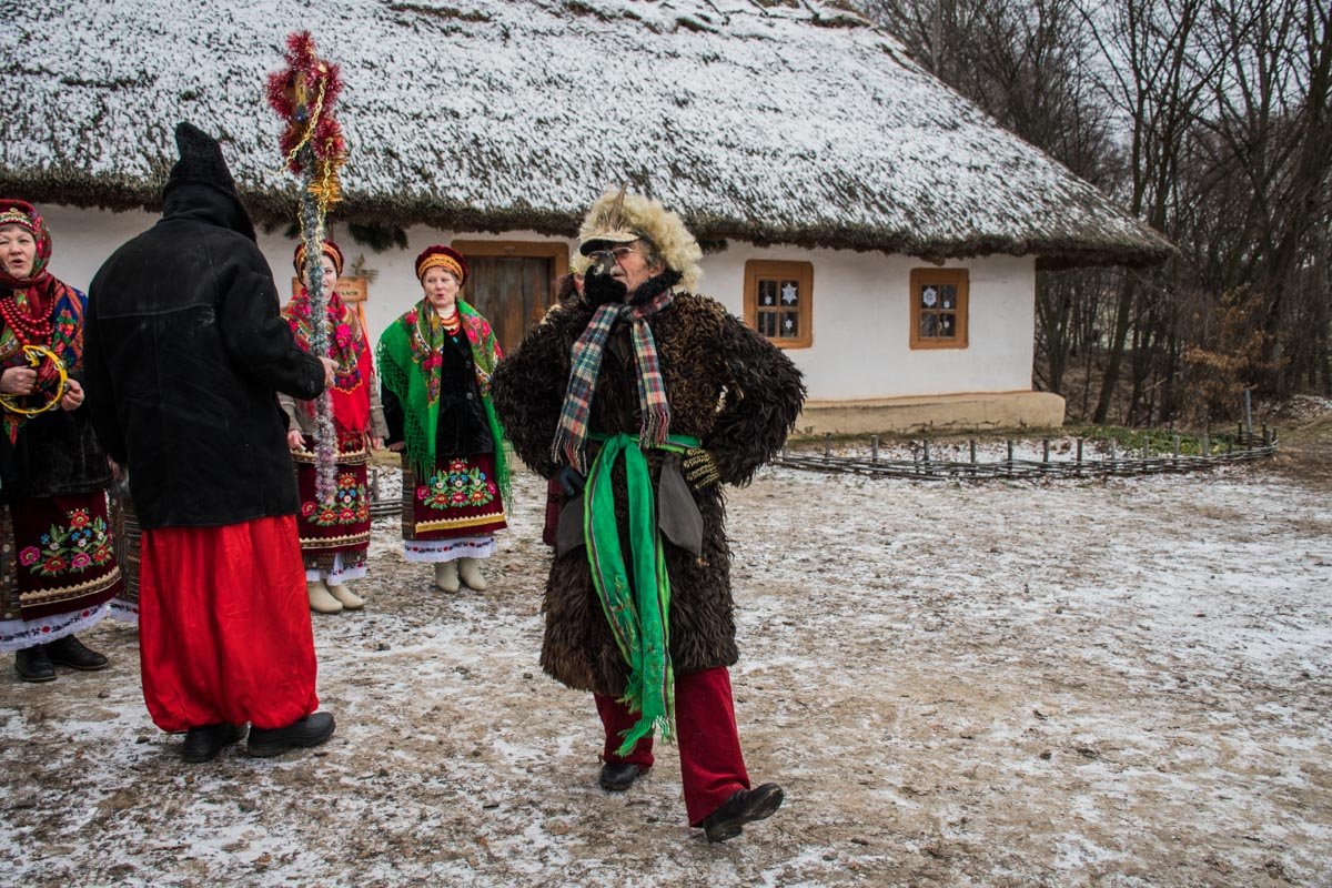 Коза брыкается и пляшет