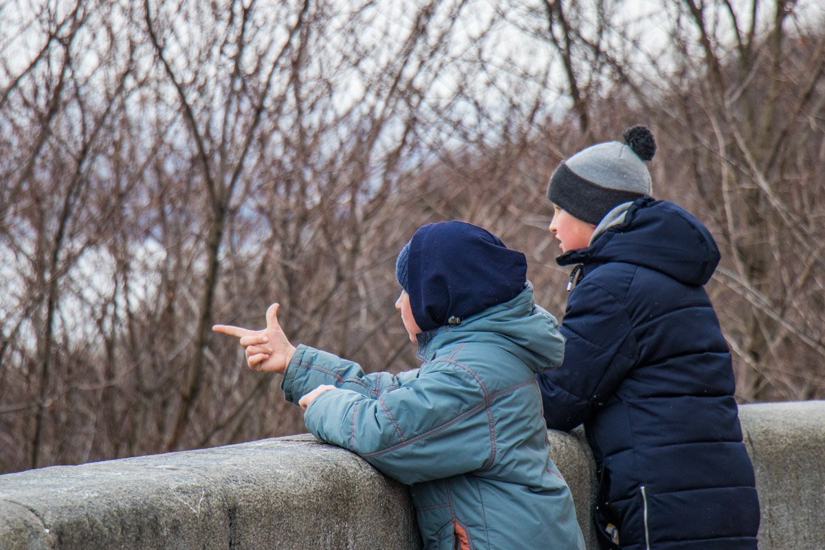 Смотри, смотри! Смотри, смотри!