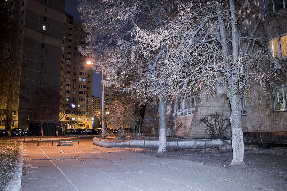 Ночью спокойствие дворов и парков ничто не нарушает 