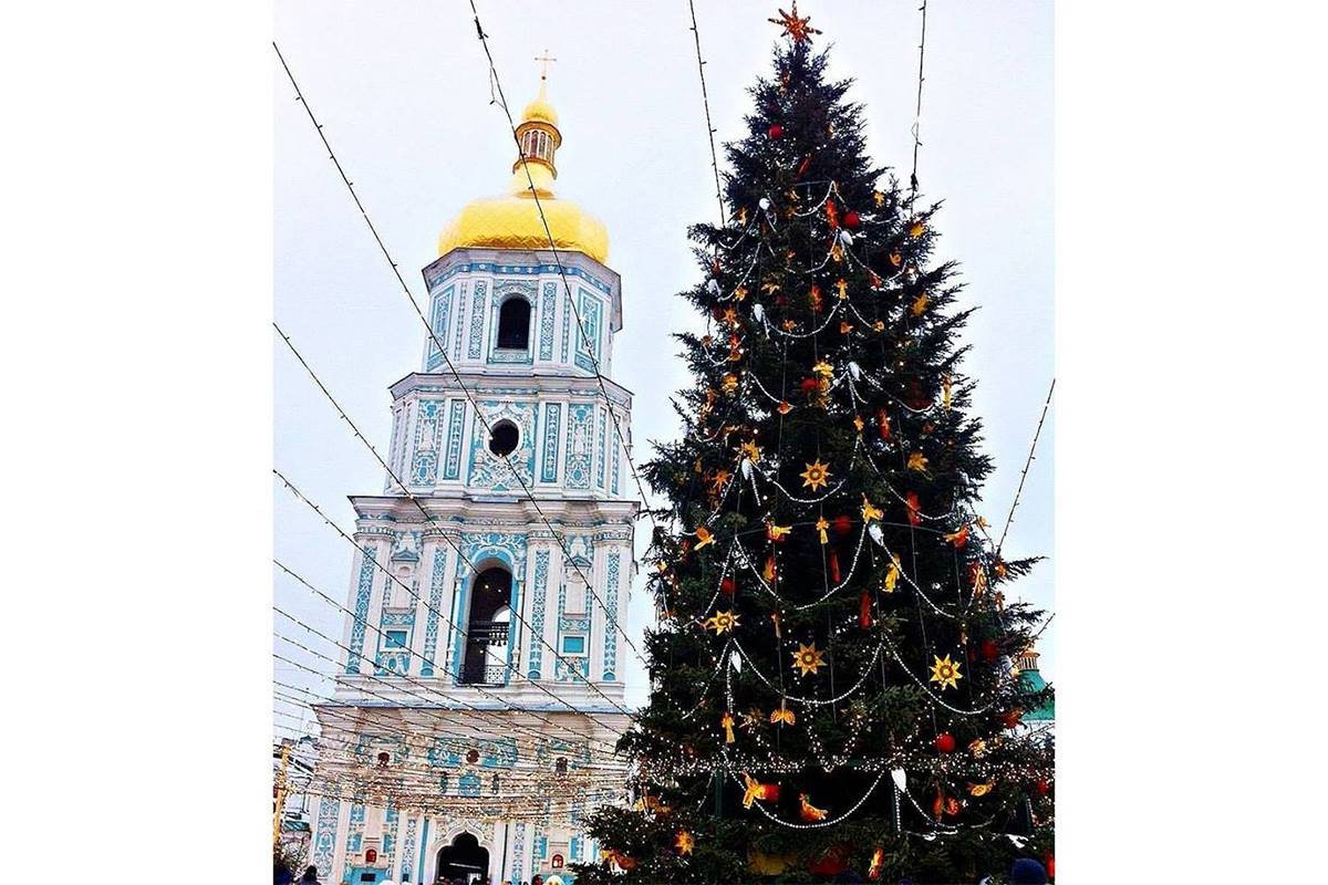 В этом году в качестве главной елки в Киев приехала 100-летняя красавица, фото: alina_zvarych В этом году в качестве главной елки в Киев приехала 100-летняя красавица, фото: alina_zvarych