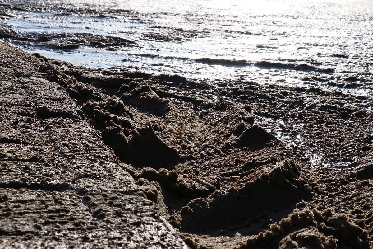 Фото: Максим Торпан