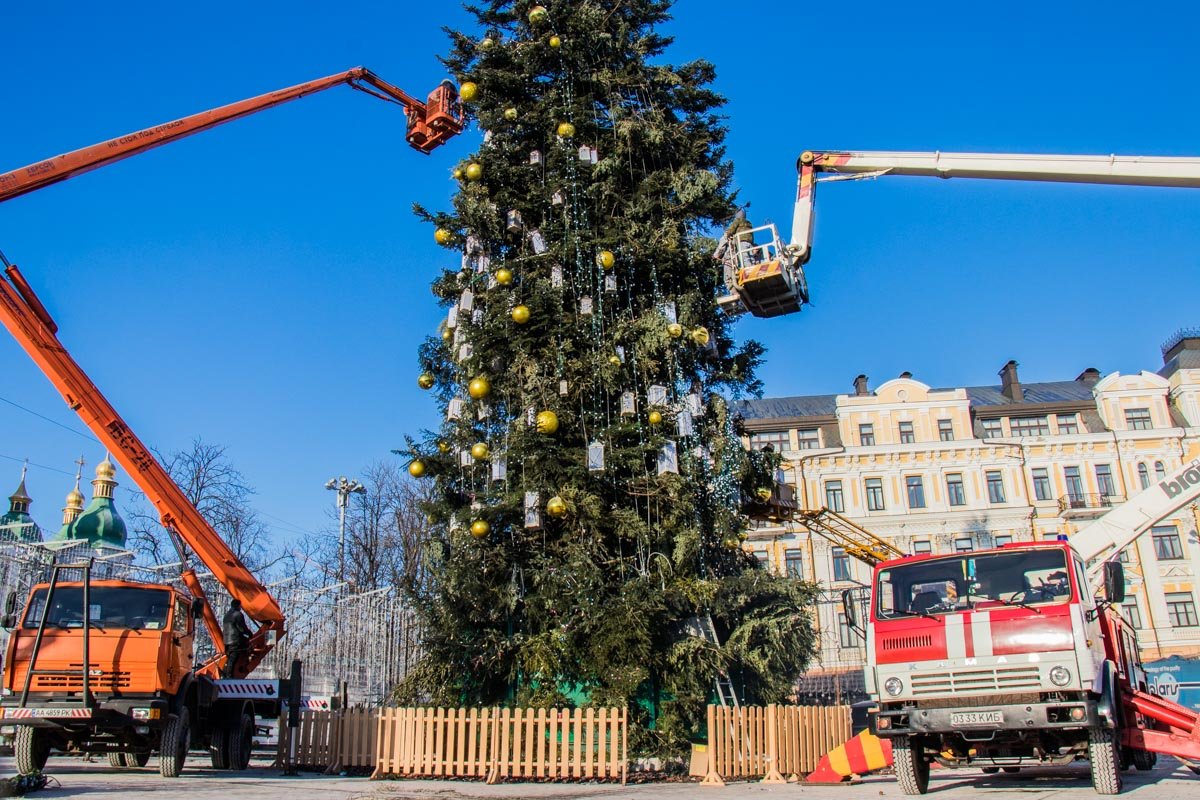 100-летнюю ель разбирают с помощью подъемных кранов 100-летнюю ель разбирают с помощью подъемных кранов