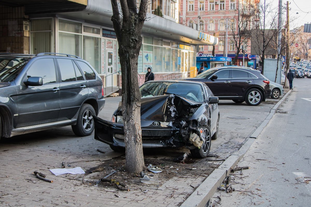 По всей дороге раскиданы части дерева и автомобиля По всей дороге раскиданы части дерева и автомобиля