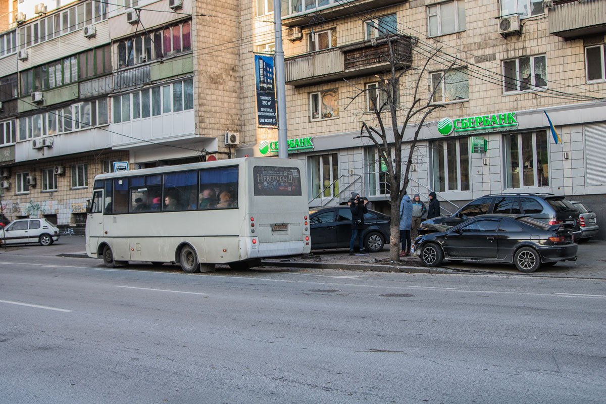 Дерево остановило Toyota от въезда в остановку с людьми Дерево остановило Toyota от въезда в остановку с людьми