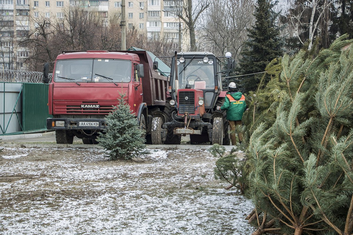 Деревья со всех пунктов приема привозят грузовиком в пункт переработки