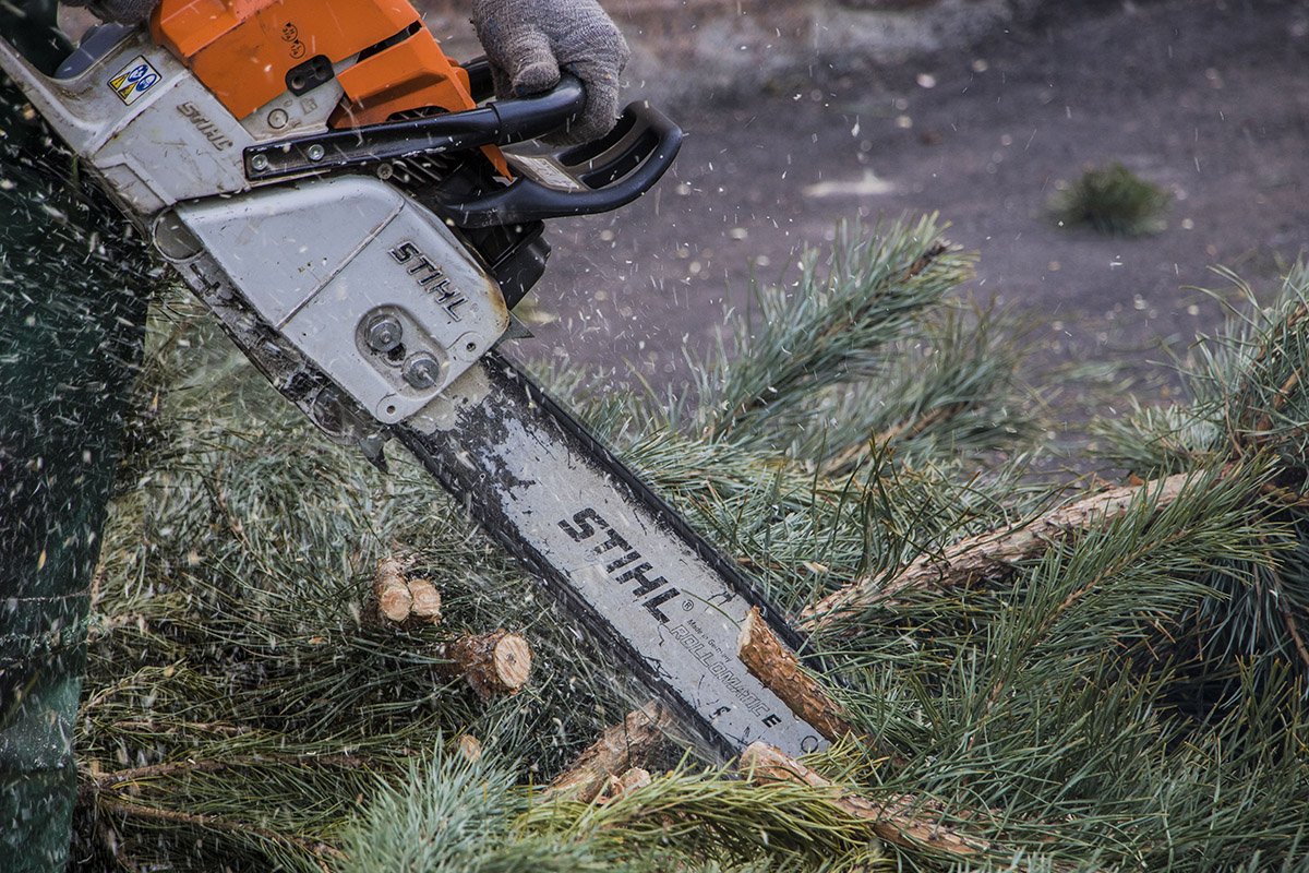 Что бы измельчить ветки, их отрезают от ствола дерева