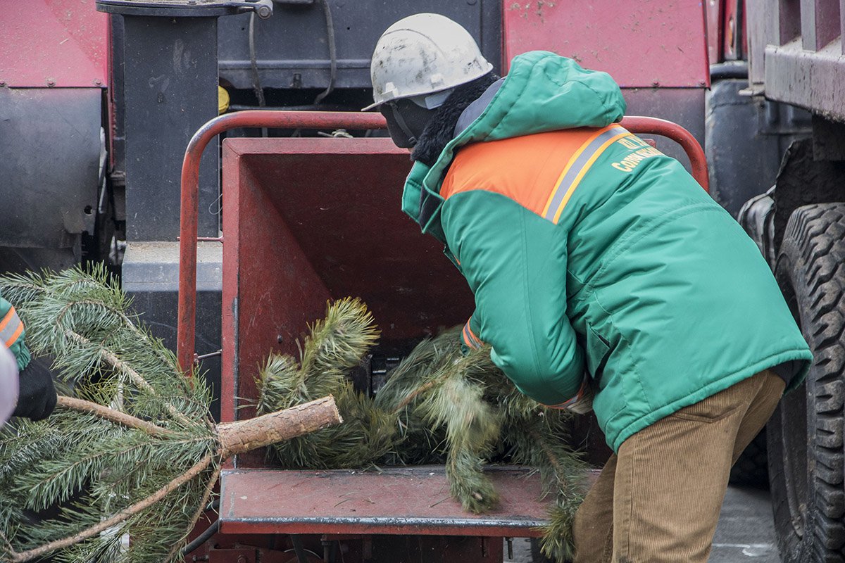 Дробильная машина измельчает ветки за считанные секунды