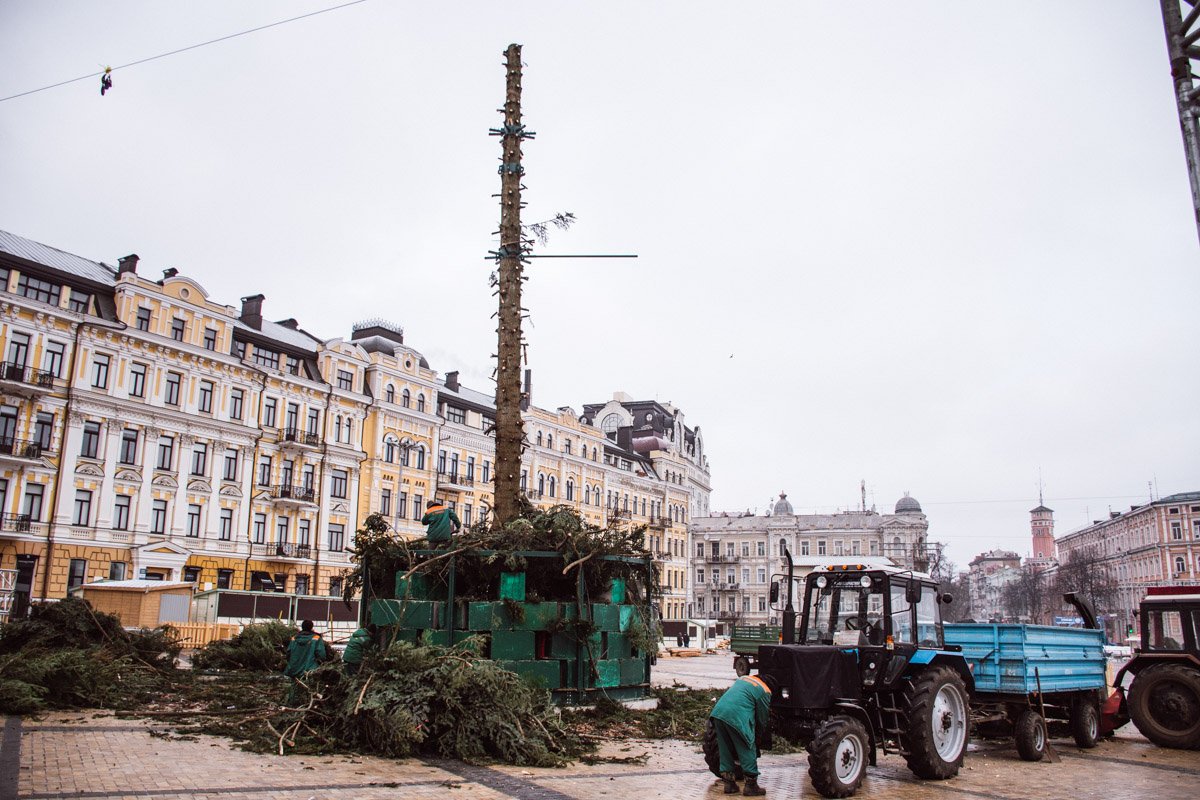 Уже не зеленая, но еще стоит Уже не зеленая, но еще стоит