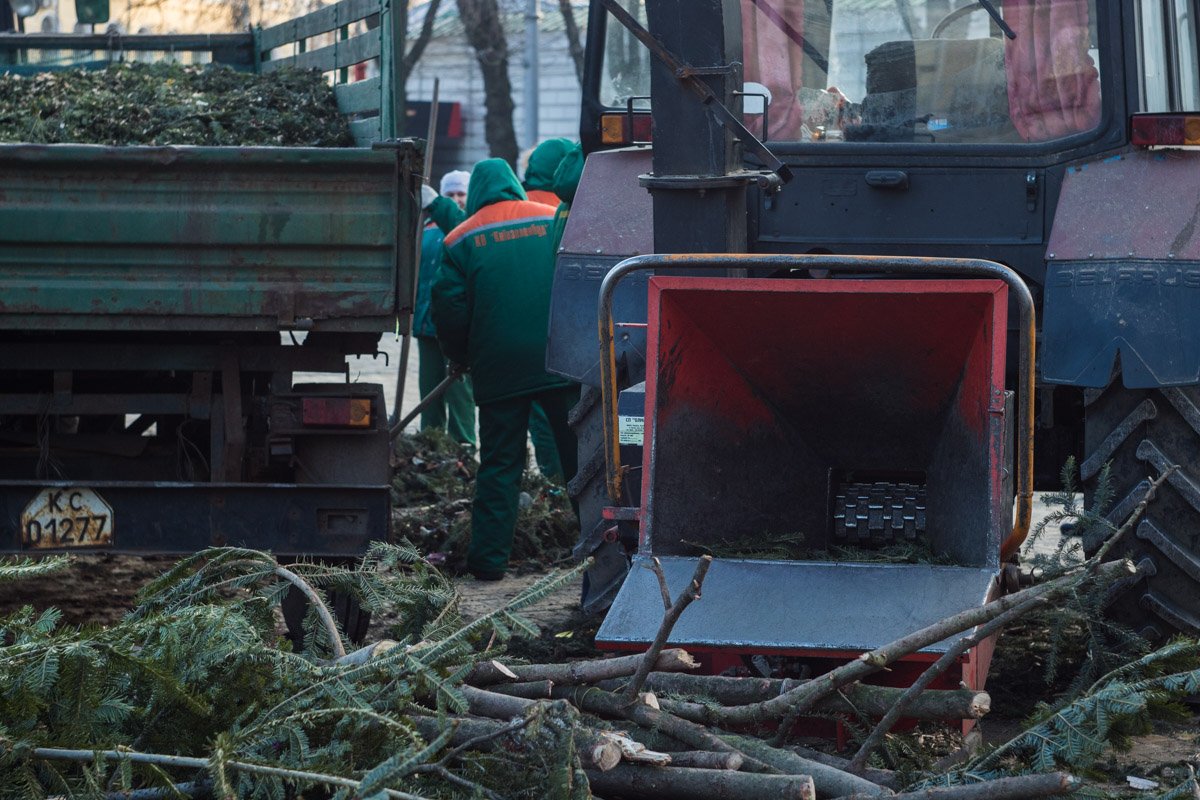 Ветки перерабатывают прямо на площади Ветки перерабатывают прямо на площади