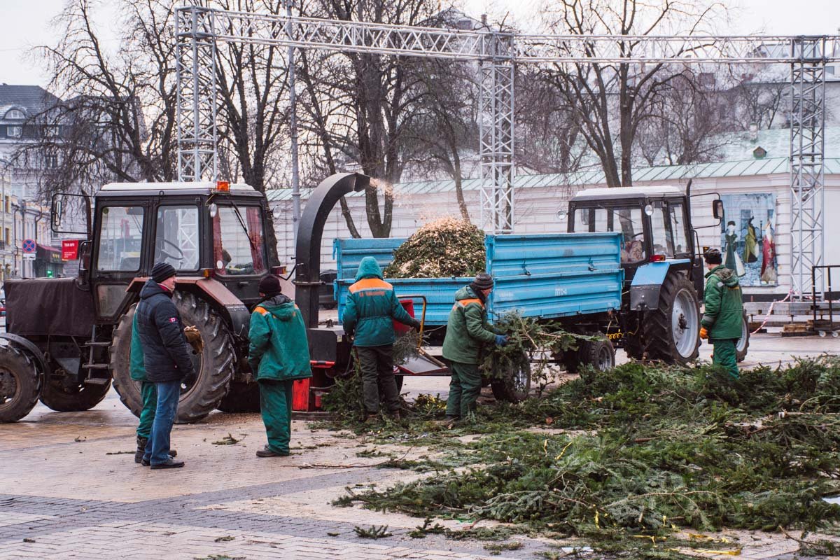 Опилок хватит для всех Опилок хватит для всех