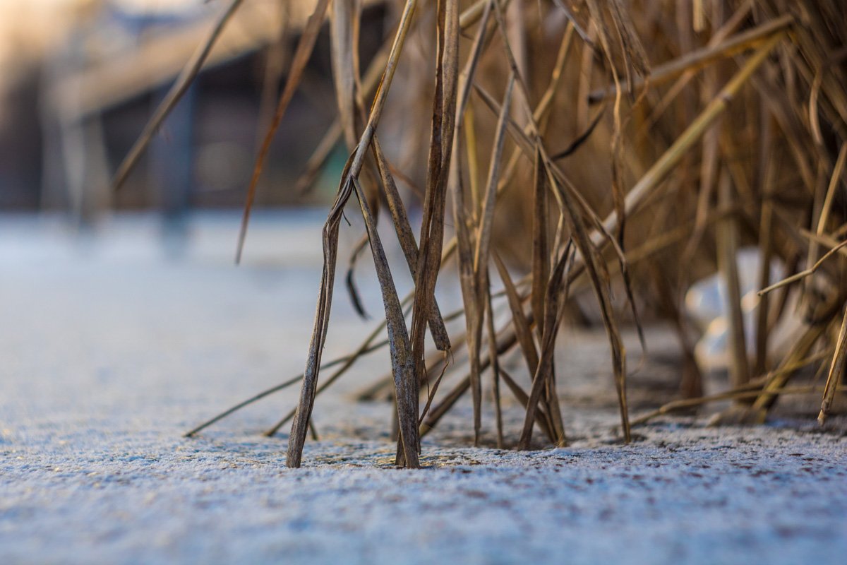 Беспощадный лед