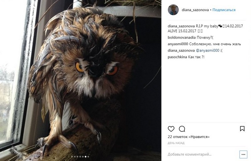 Милая птичка ненавидит Prodigy и дарк техно Милая птичка ненавидит Prodigy и дарк техно