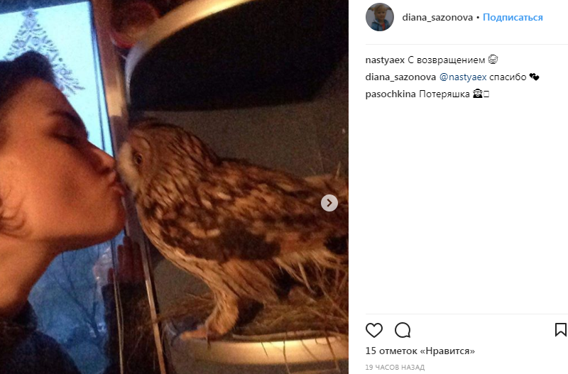 Неравнодушным жителям столицы удалось найти пернатую беглянку Неравнодушным жителям столицы удалось найти пернатую беглянку