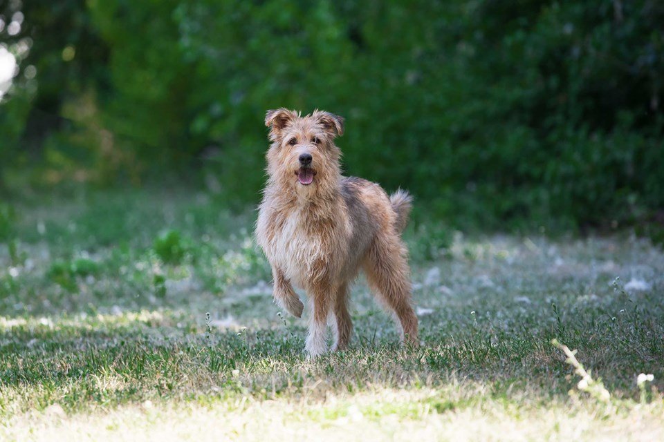 Неординарная и умная Квин хочет обрести семью Неординарная и умная Квин хочет обрести семью