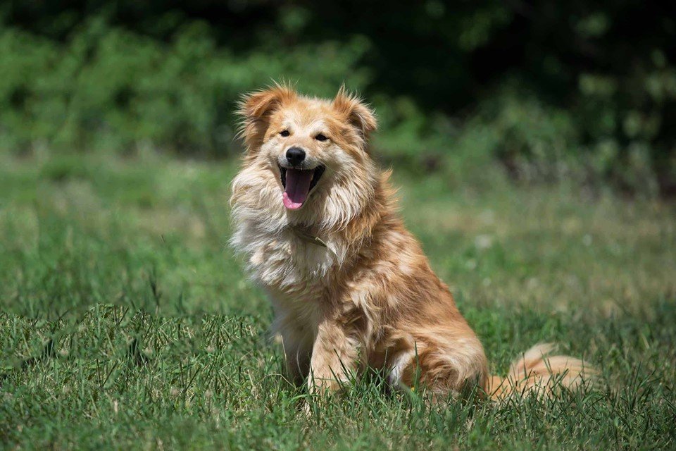 Полуживого Этана спасли неравнодушные люди Полуживого Этана спасли неравнодушные люди