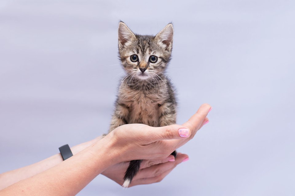 Посмотрите в эти грустные глаза, ей очень нужна семья Посмотрите в эти грустные глаза, ей очень нужна семья