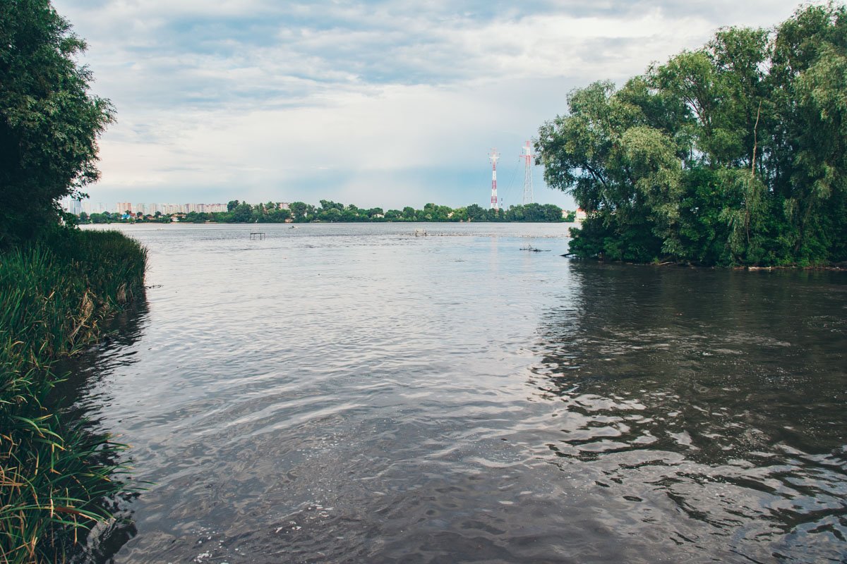 Чтобы проверить сообщения о позеленевшей Лыбеди, мы приехали к месту, где она впадает в Днепр
