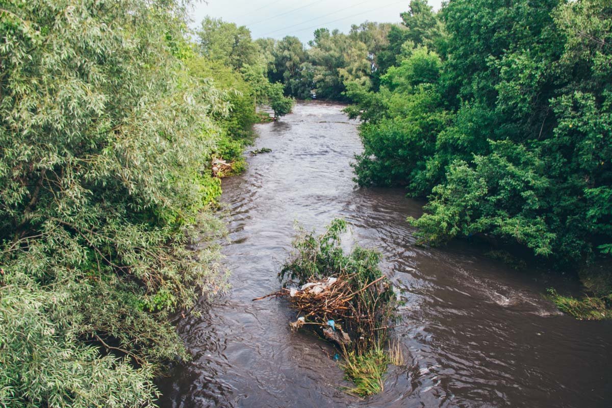 Да и в целом состояние реки далеко от идеального