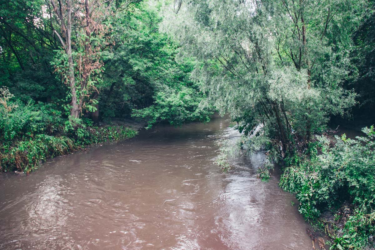Сегодня вечером река была вот такого насыщенно коричневого цвета. И ни следа ядовито-зеленого