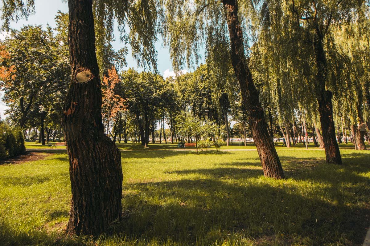 На такую траву не грех и присесть