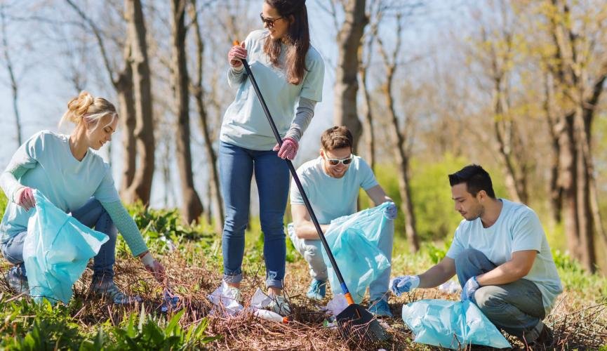 Общее полезное дело - отлично проведенная суббота 
