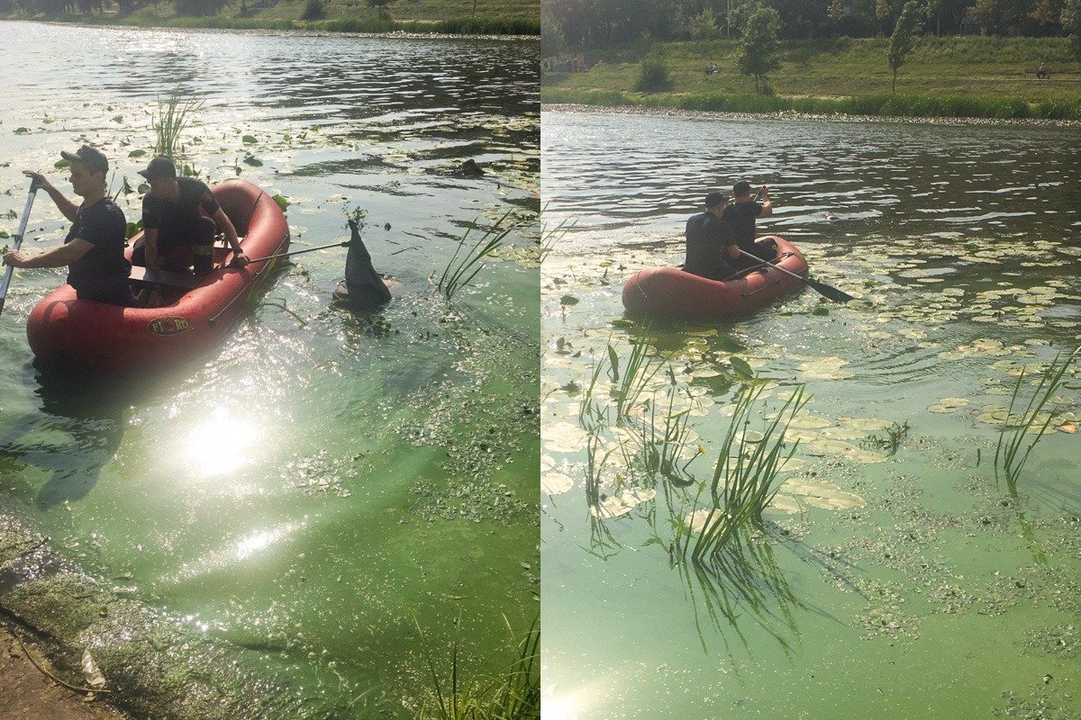 Предварительно, погибшему было 45 лет и он был бездомным