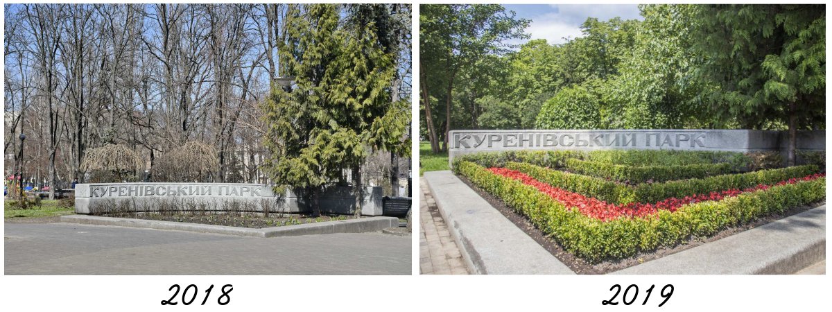 Главный вход озеленили и привели в порядок Главный вход озеленили и привели в порядок