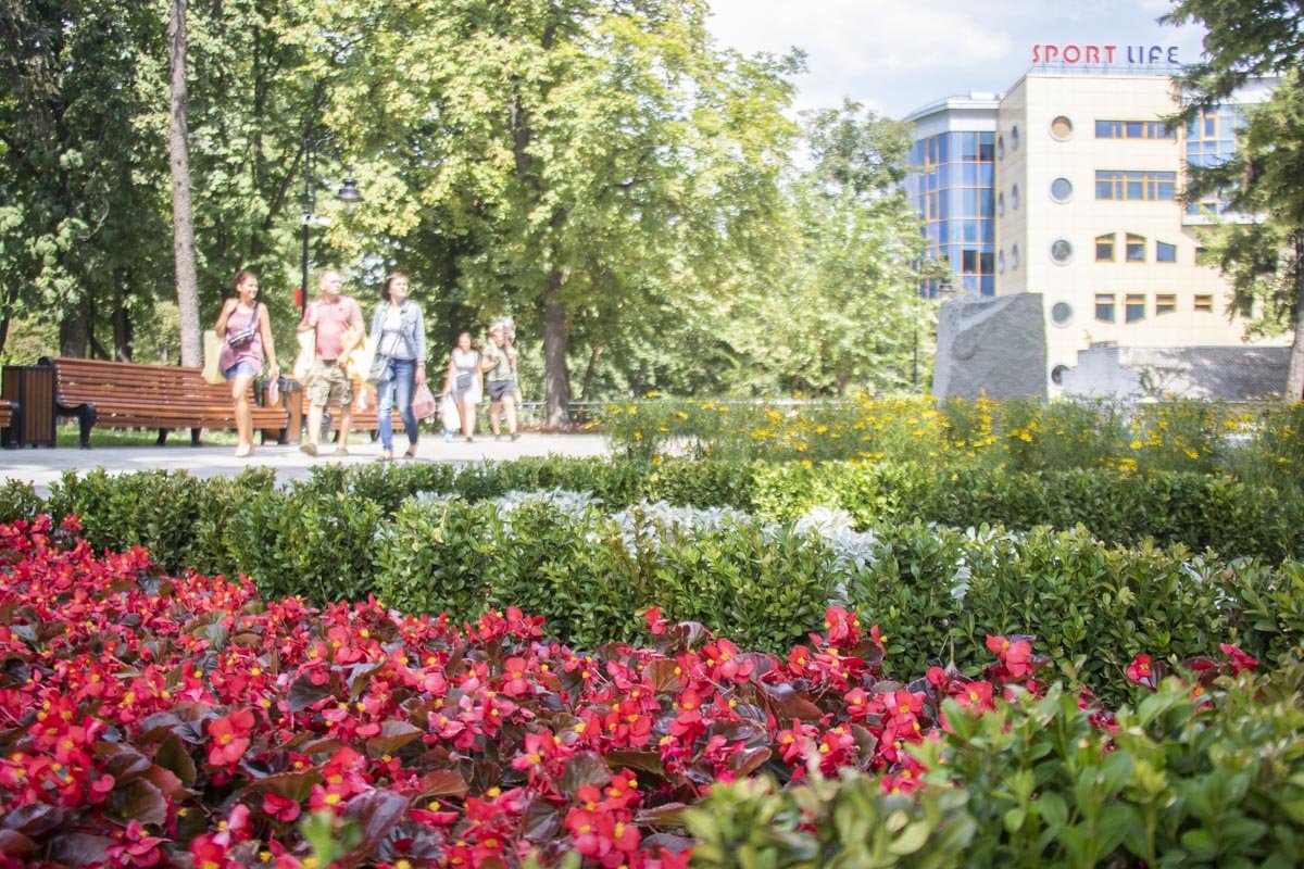 В парке очень зелено В парке очень зелено